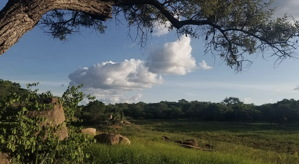 dam_hillside_2020_views_5060