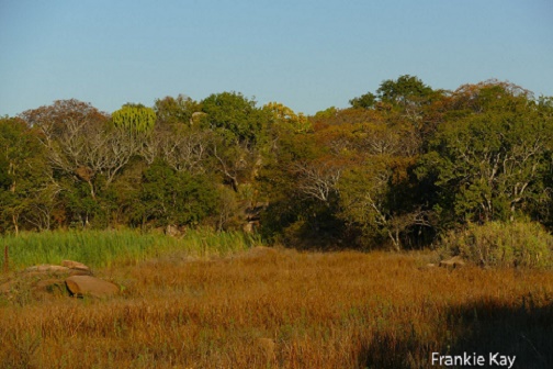 dam_hill_autumn_fauna_01.JPG