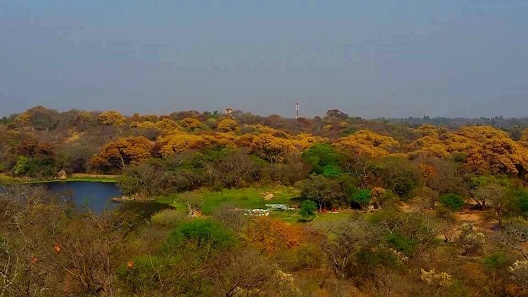 dam_hill_dam_pool_trees.JPG