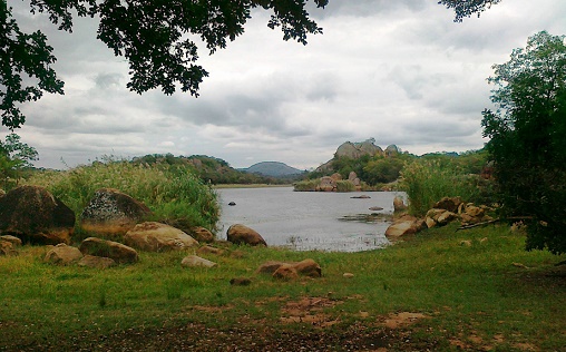 dam_mat_grass.jpg