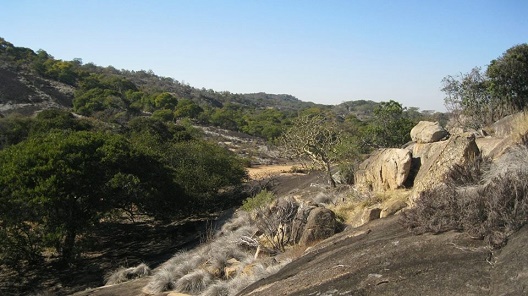 dam_mtsh_riverbed_rocks.JPG