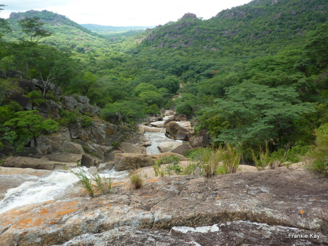 nb_mat_lum_falls_shrubs