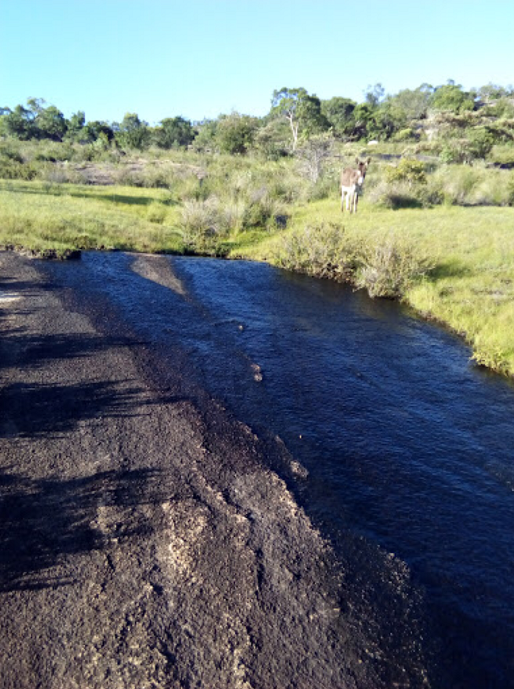 nb_mat_lum_rock_seepage