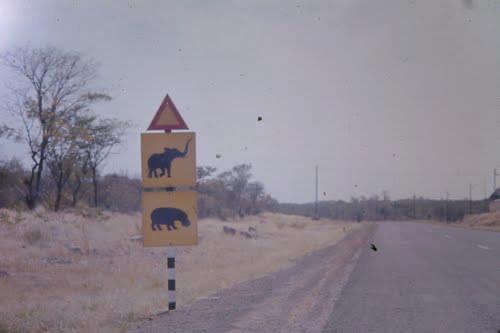 rur_sign_wild_animals