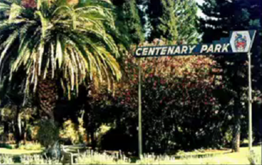 cp_ent_centp_main_sign_palm.png