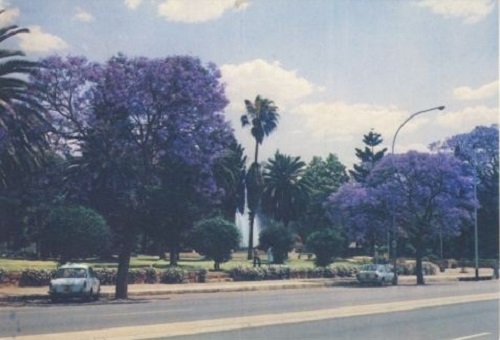 cp_foun_jacaranda_south.jpg