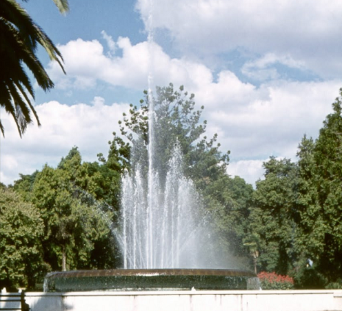 cp_foun_tall_spray.png