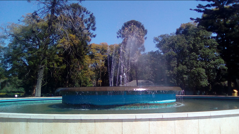 cp_foun_tree_glistening