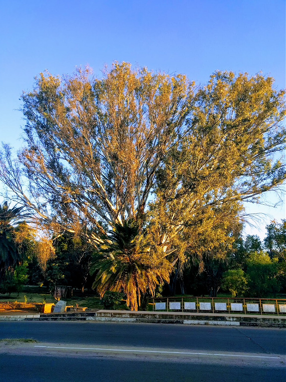 cp_gard_bridge_selb_roadworks