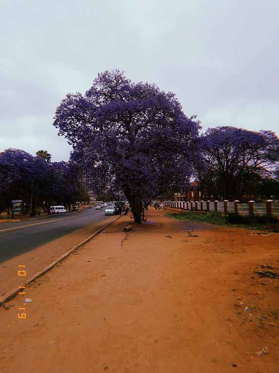 cp_gard_near_eveline