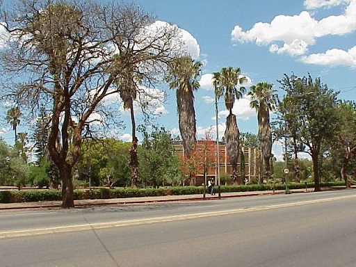 cp_mus_museum_from_selborne.jpg