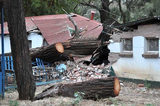 cp_mt_cyclone_damage_shed.jpg