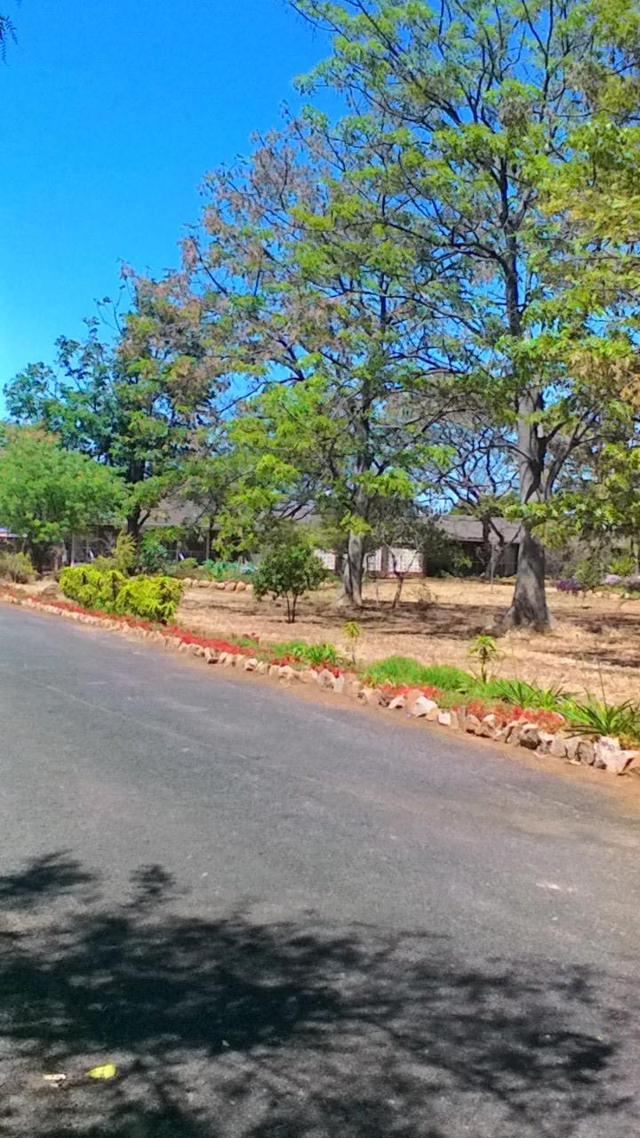 at_oah_gard_street_trees