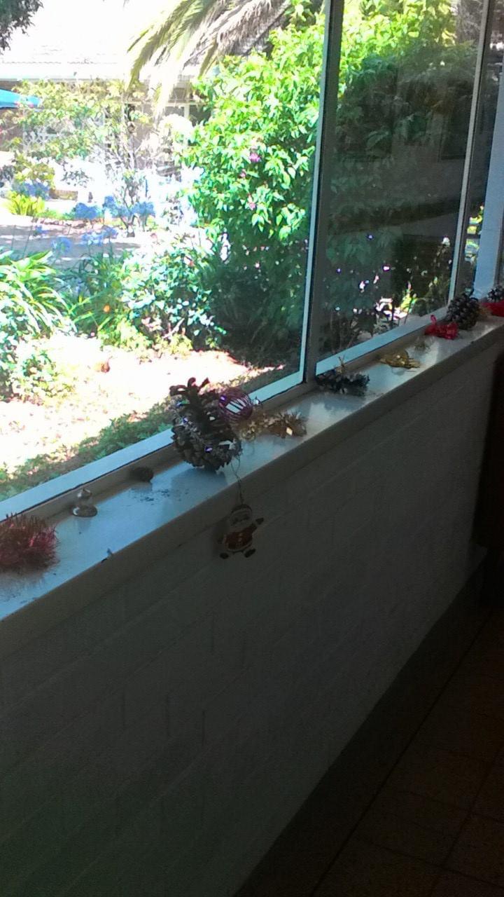 at_oah_gard_window_view