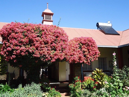 at_oah_qm_ret_queen_mary_house_bougenvillia.JPG