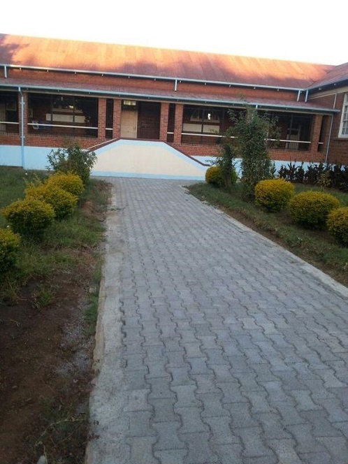 sch_jun_cogh_pathway.jpg