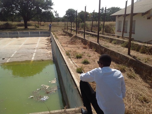 sch_jun_green_swimming_pool_stands.jpg