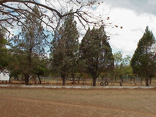 sch_jun_hill_playarea_tyres.jpg