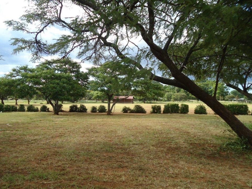 sch_jun_tenn_playing_fields_shrubs