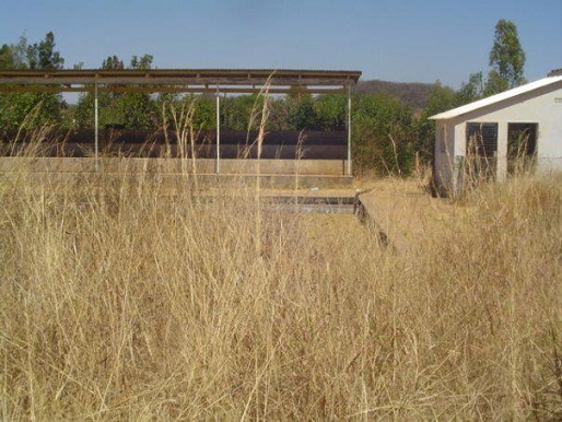 sch_jun_wat_pool_grass.jpg