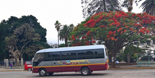 sch_sen_giff_bus_tree.JPG