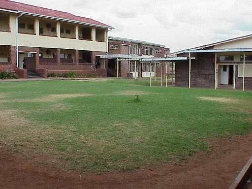 sch_sen_giff_green_quad.jpg