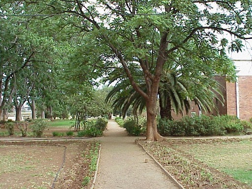 sch_sen_giff_pathway_tree.jpg