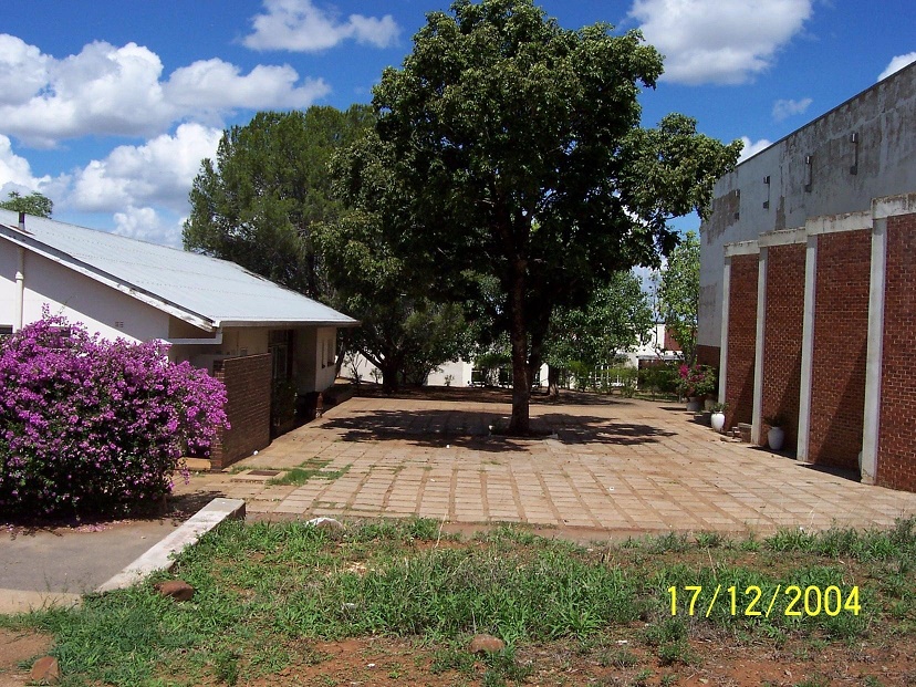 sch_sen_ham_2004_bougenvillia