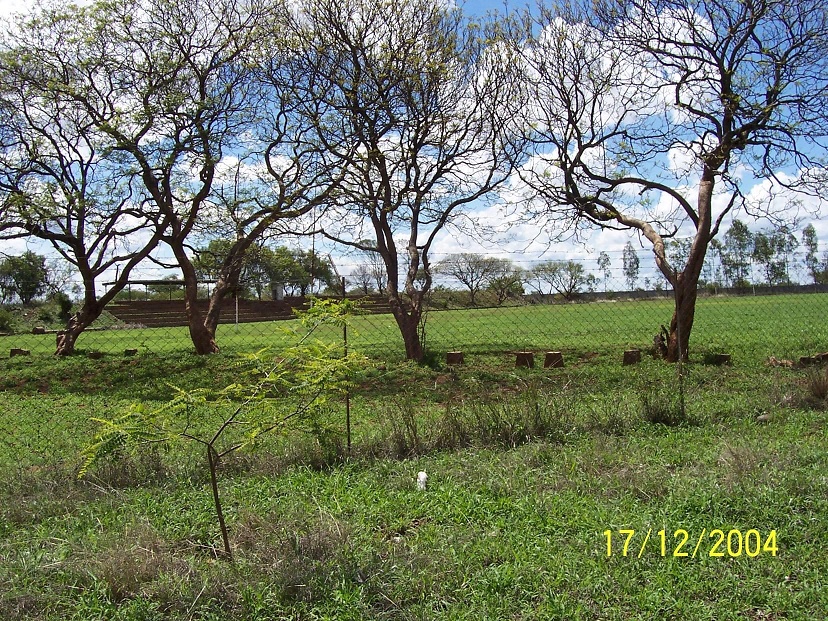 sch_sen_ham_2004_green_fields