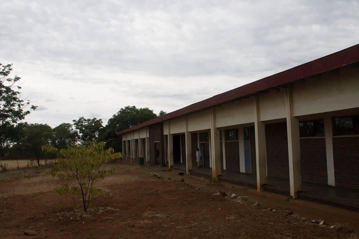 sch_sen_ham_lone_tree