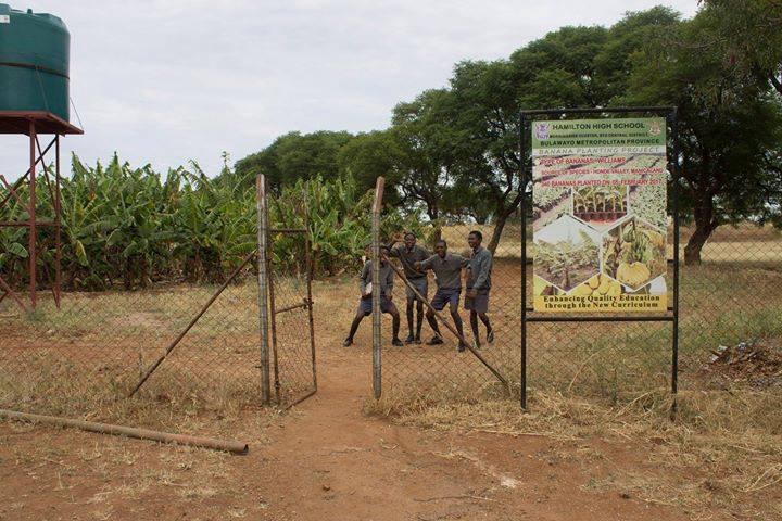 sch_sen_ham_sign_green