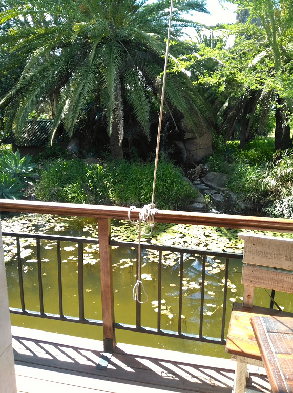 at_sc_zonkizizwe_pond_railing